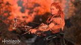 Horizon Zero Dawn Complete Edition PS4 Playstation 4 Game - Trippy Trades 