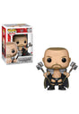 Triple H Skull King WWE #52 Funko Pop Vinyl Figure - Trippy Trades 